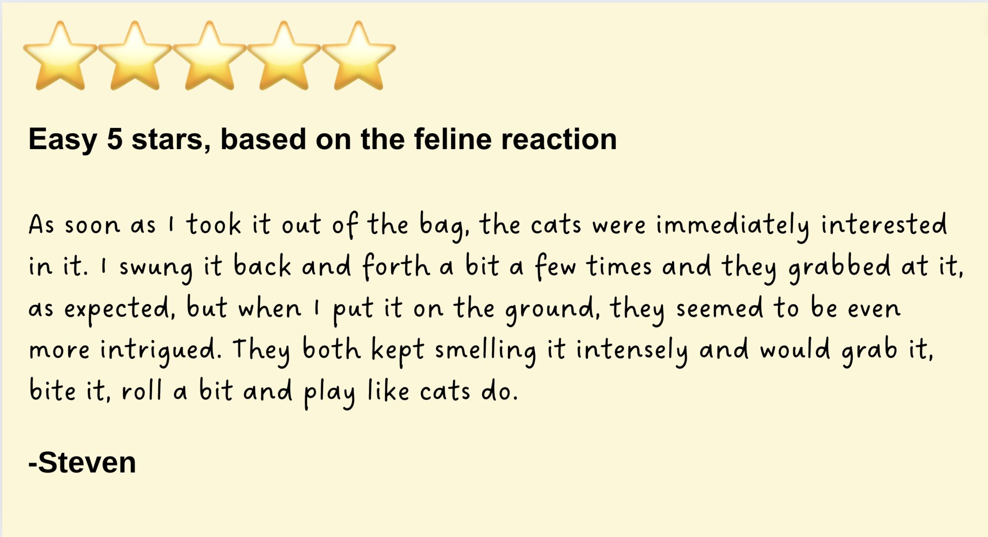 cat toy review