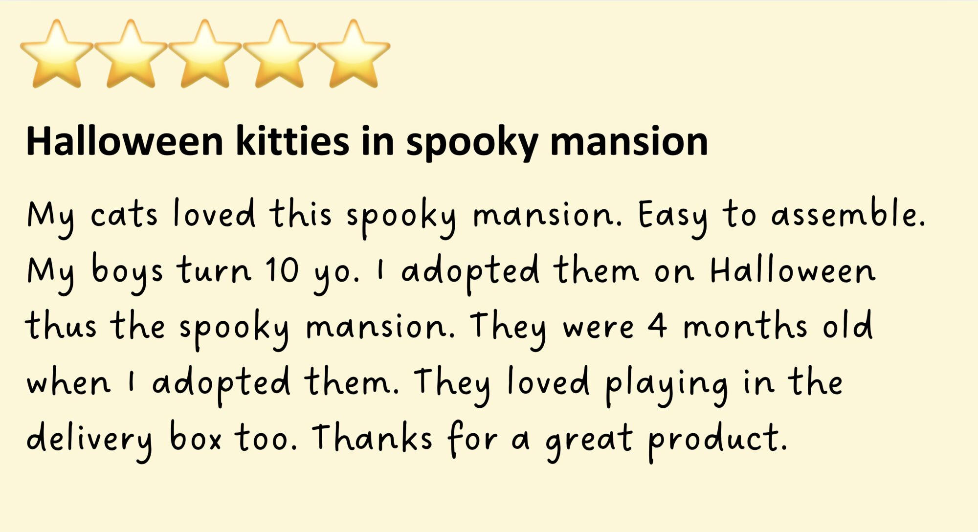 cat toy review